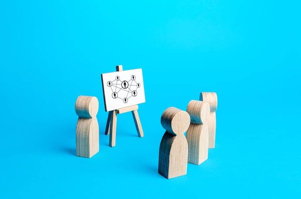 What's the Most Effective Way to Transition a Dog from Agility Competitions to Retirement?